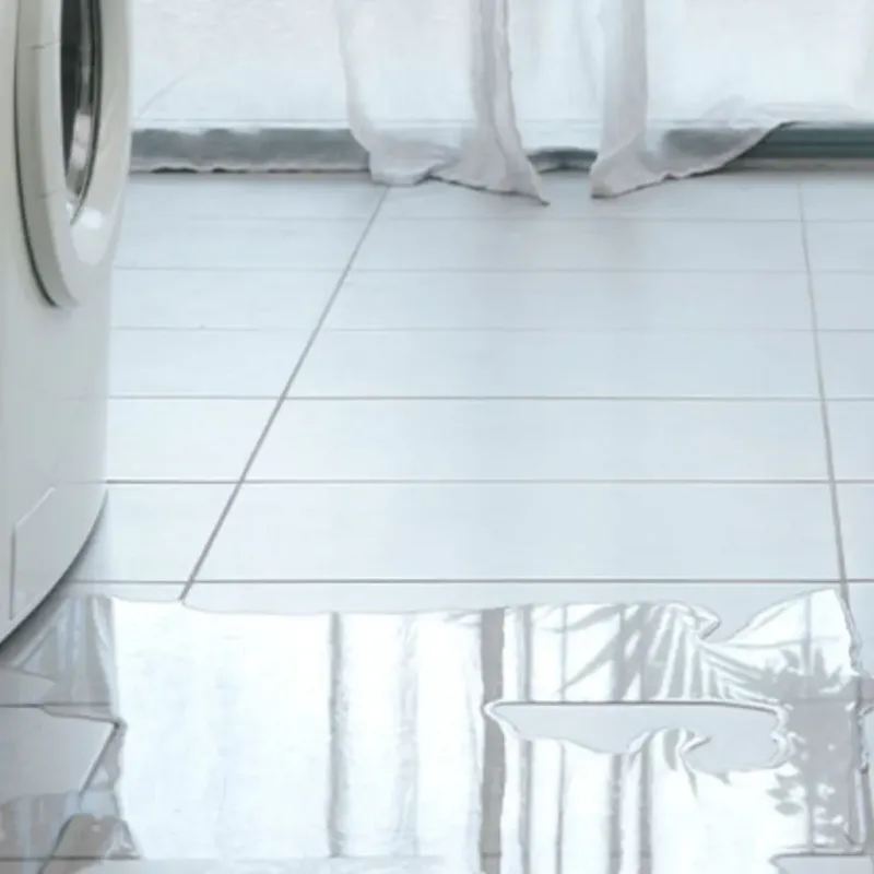 Appliance Leak Cleanup in Fountain Inn, SC