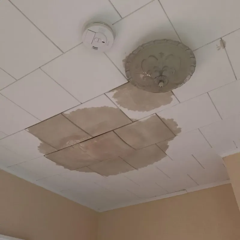 Ceiling Water Damage Repair in Fountain Inn, SC