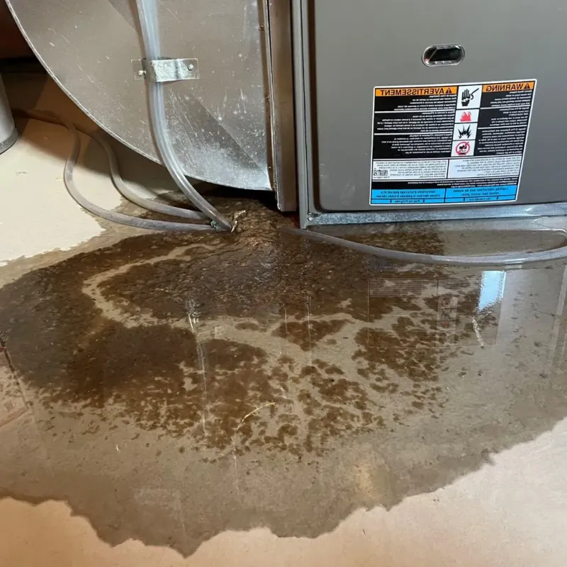 Pipe Burst and Leak Restoration in Fountain Inn, SC