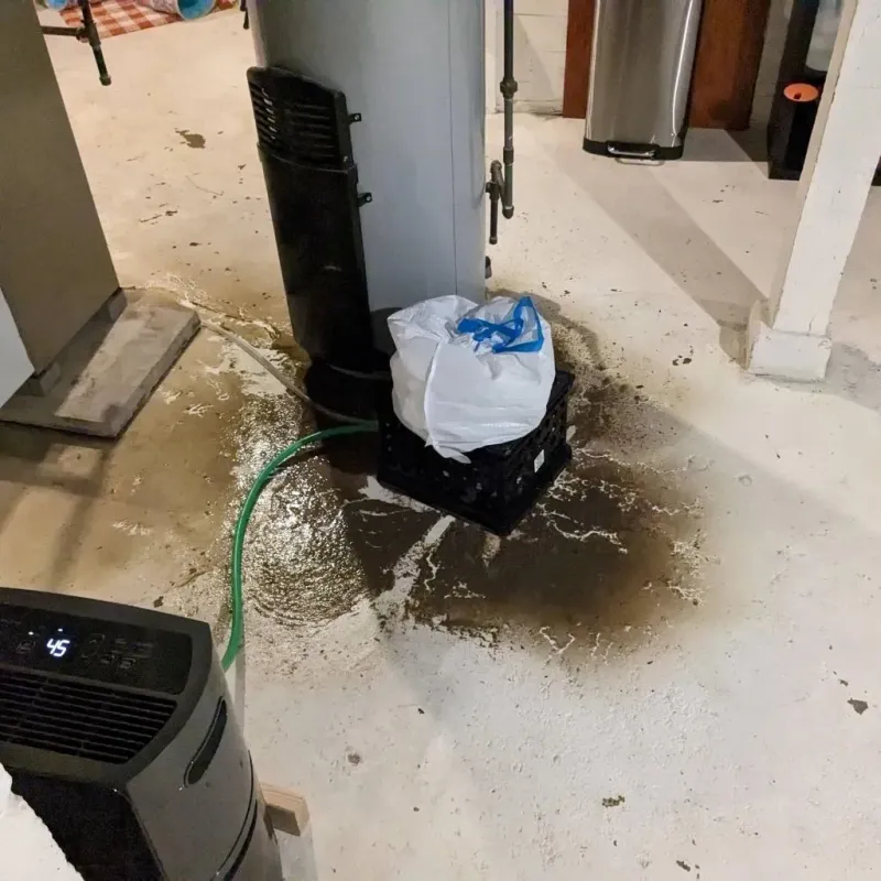 Sewage Backup Cleanup Service in Fountain Inn, SC